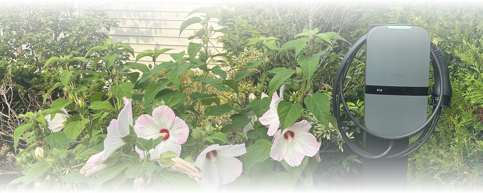 laadpalen stroom loods